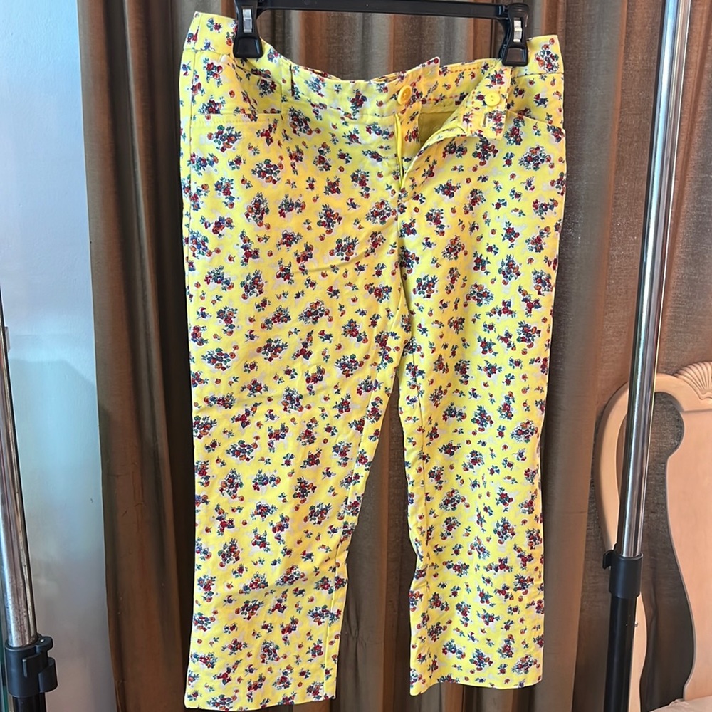 Anthropologie vintage quarter length pants
